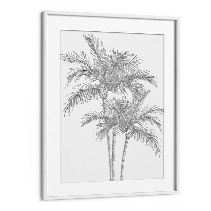 Ink Palm Promenade Beach Prints Coastal Wall Art in White Frame With Mount