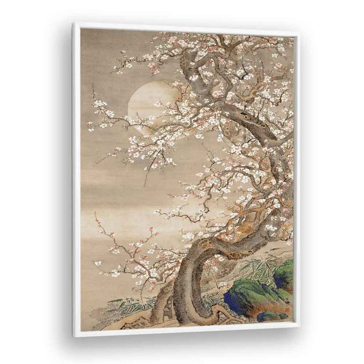 Japanese Plum Blossoms In Moonlight 18th Century Japanese Art Artwork in White Plain Frame