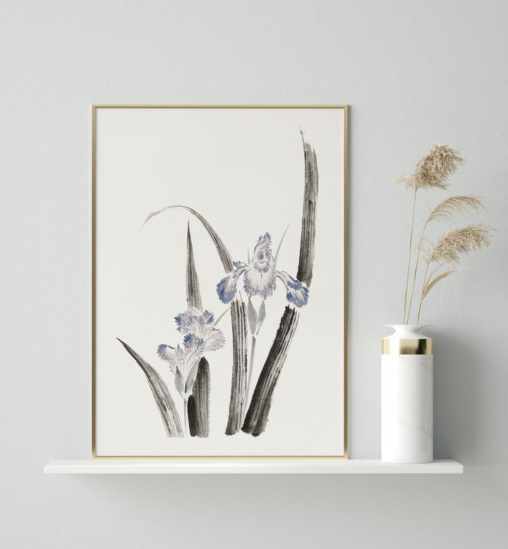 JAPANESE IRIS FLOWER , VINTAGE PAINTINGS