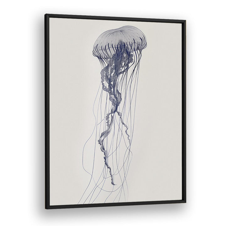 Jelly O Beach Prints Coastal Wall Art in Black Plain Frame