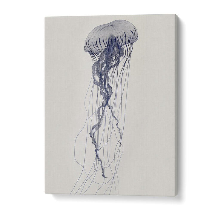 Jelly O Beach Prints Coastal Wall Art in Gallery Wrap