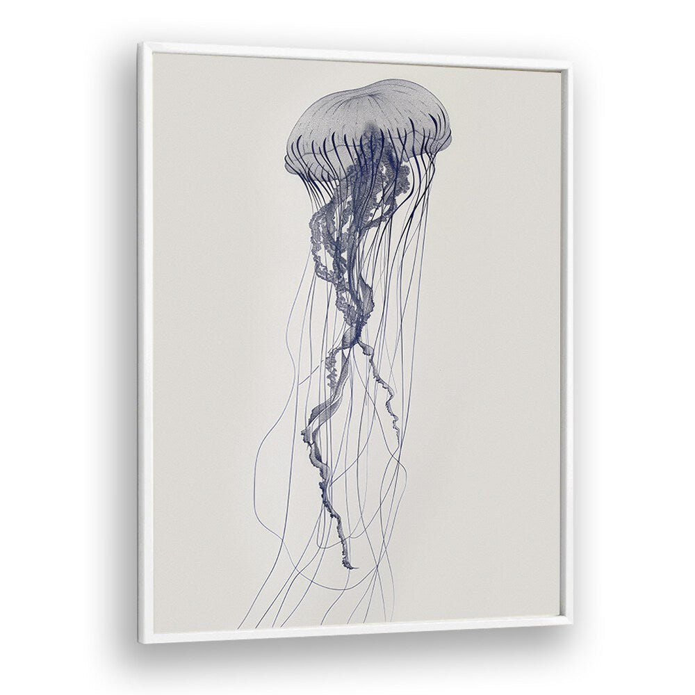 Jelly O Beach Prints Coastal Wall Art in White Plain Frame