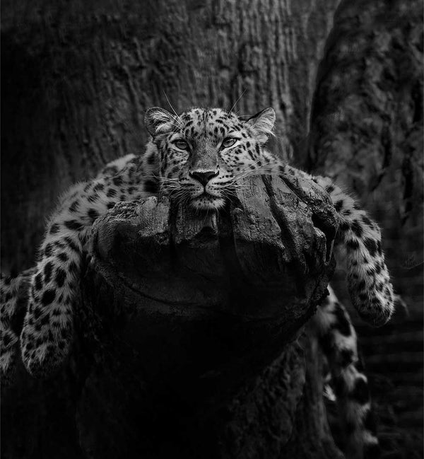 KRYSTINA WISNIOWSKA - PHOTOGRAPHER