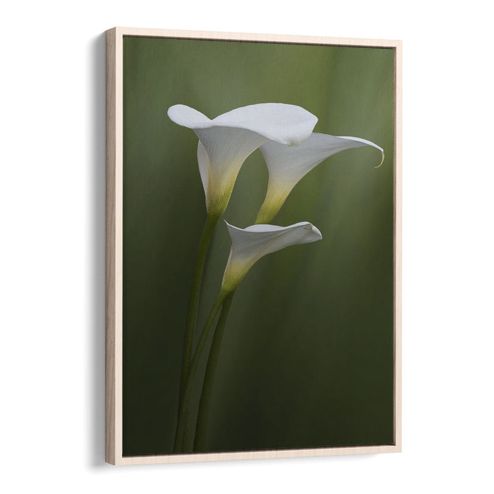 Christian Meermann painting - SIMPLICITY & ELEGANCE by Asianmonk