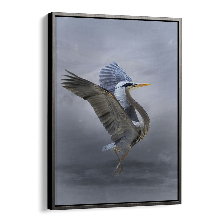 Christian Meermann painting - THE GREAT BLUE HERON by Asianmonk