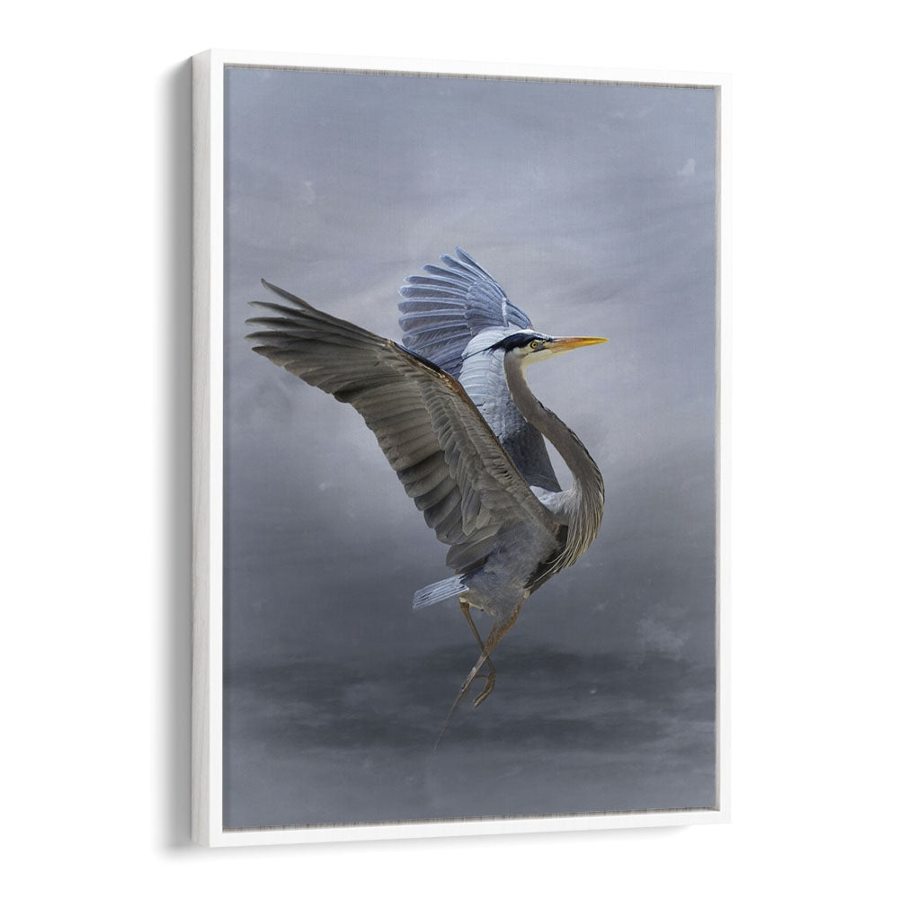 Christian Meermann painting - THE GREAT BLUE HERON by Asianmonk