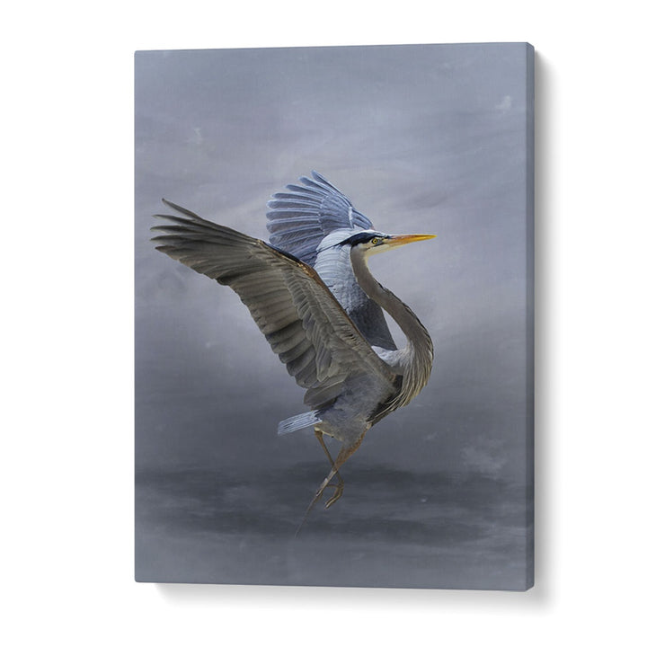 Christian Meermann painting - THE GREAT BLUE HERON by Asianmonk