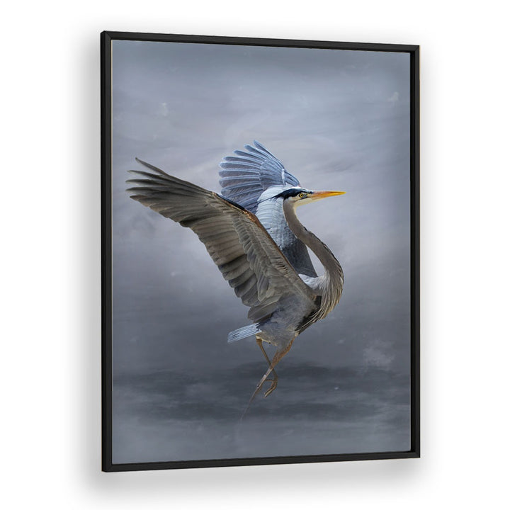 Christian Meermann painting - THE GREAT BLUE HERON by Asianmonk