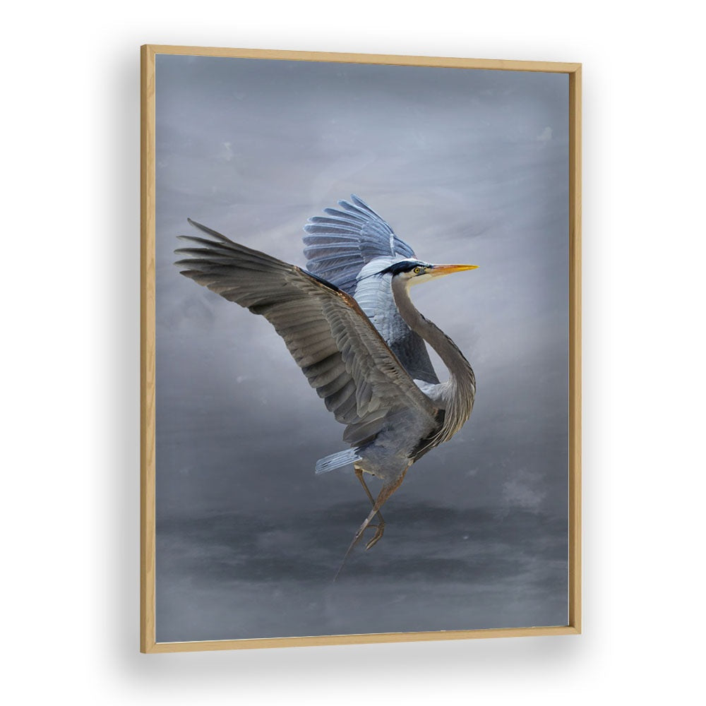 Christian Meermann painting - THE GREAT BLUE HERON by Asianmonk