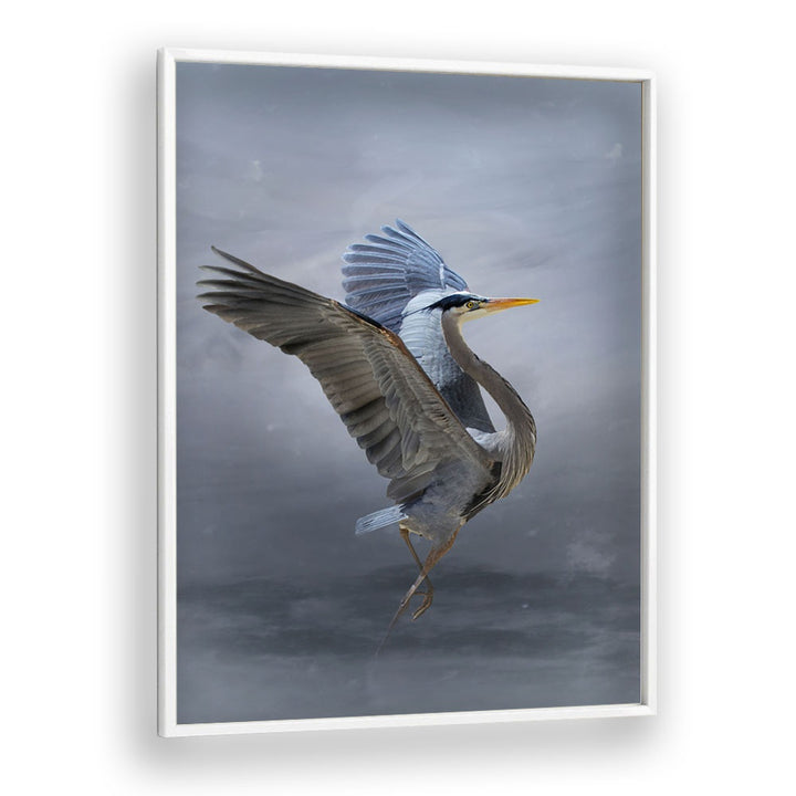 Christian Meermann painting - THE GREAT BLUE HERON by Asianmonk