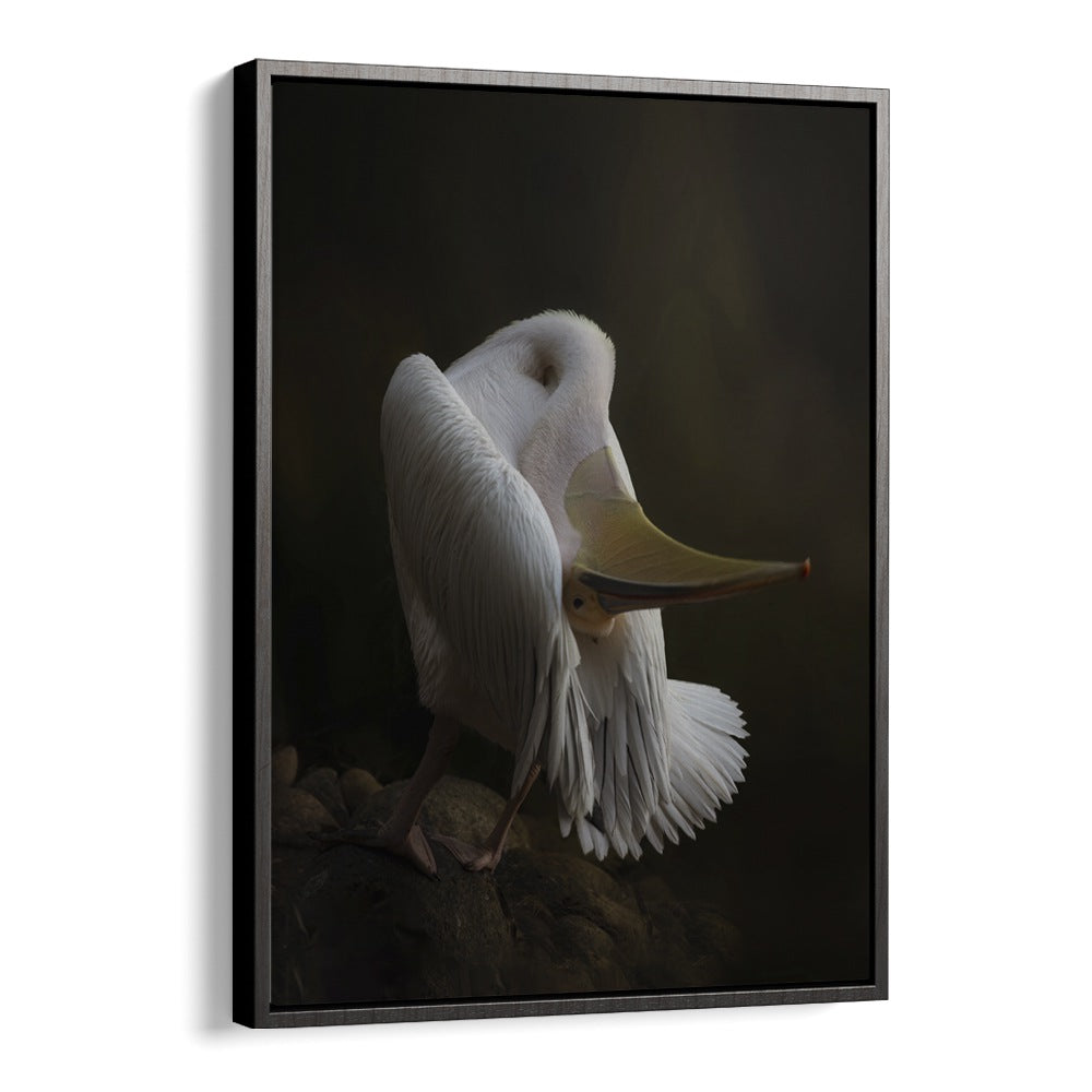 Christian Meermann painting - PELICAN AT THE ROCK by Asianmonk