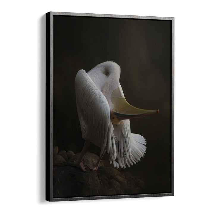 Christian Meermann painting - PELICAN AT THE ROCK by Asianmonk