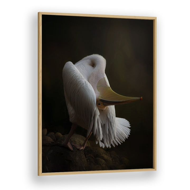 Christian Meermann painting - PELICAN AT THE ROCK by Asianmonk