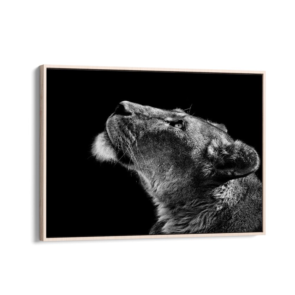 LOOKING UP WILDLIFE PHOTOGRAPHY in Oak Wood Floater Frame