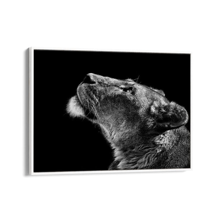 LOOKING UP WILDLIFE PHOTOGRAPHY in White Floater Frame