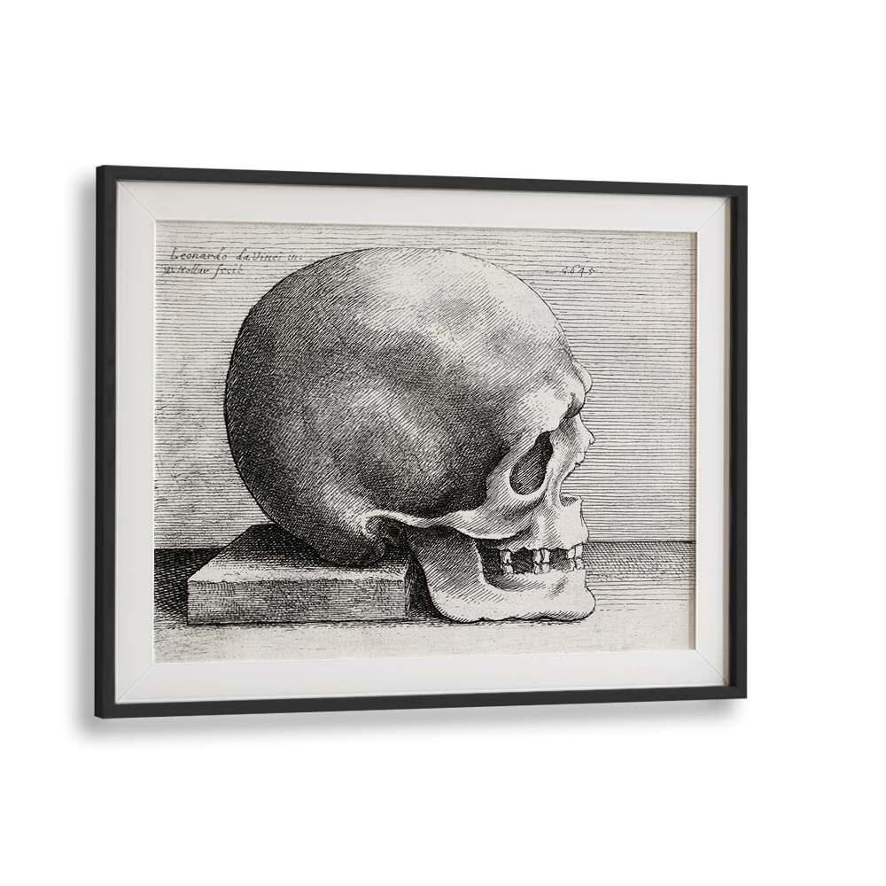 Leonardo Da Vincis Skull In Profile To Right 1645 Vintage Paintings in Black Frame With Mount