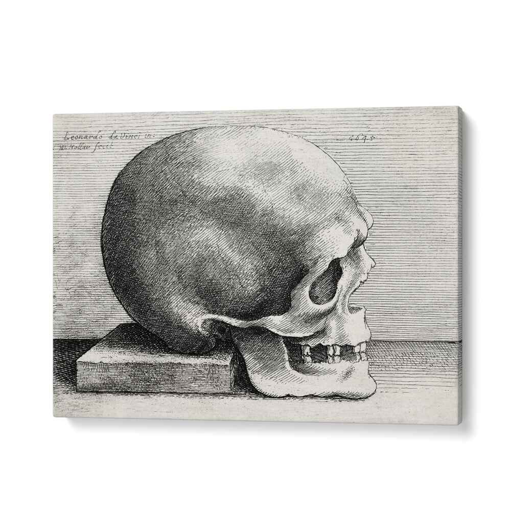 Leonardo Da Vinci's Skull In Profile To Right 1645 Vintage Paintings in Gallery Wrap