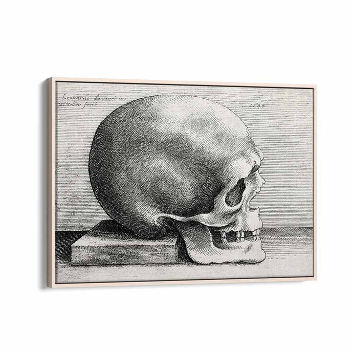 Leonardo Da Vincis Skull In Profile To Right 1645 Vintage Paintings in Oak Wood Floater Frame