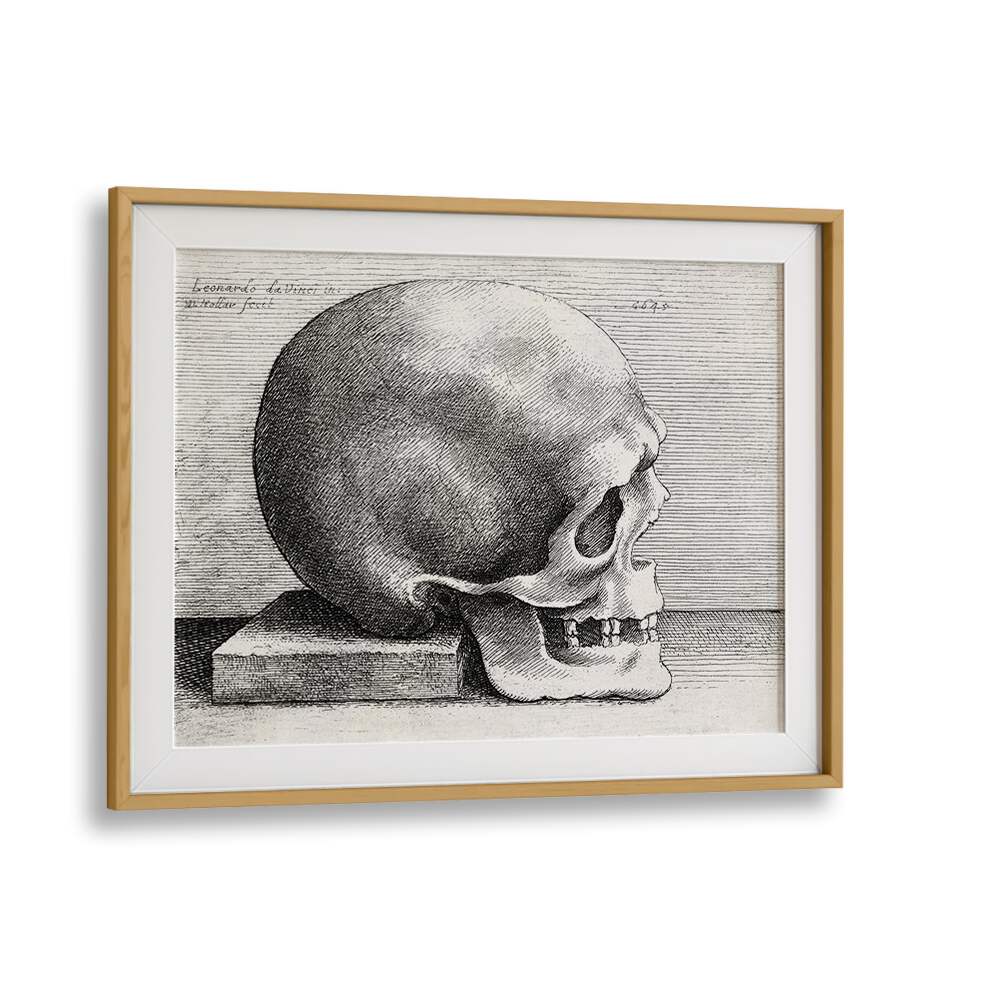 Leonardo Da Vincis Skull In Profile To Right 1645 Vintage Paintings in Oak Wood Frame With Mount