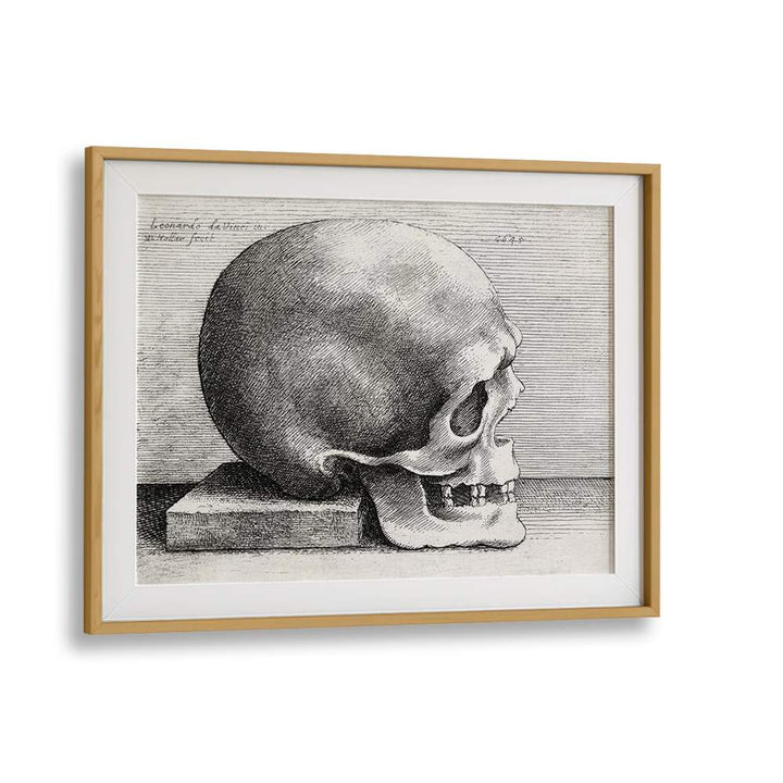 Leonardo Da Vincis Skull In Profile To Right 1645 Vintage Paintings in Oak Wood Frame With Mount