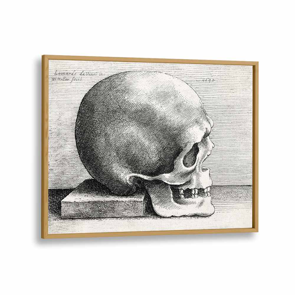 Leonardo Da Vincis Skull In Profile To Right 1645 Vintage Paintings in Oak Wood Plain Frame