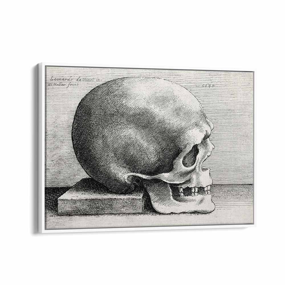 Leonardo Da Vincis Skull In Profile To Right 1645 Vintage Paintings in White Floater Frame