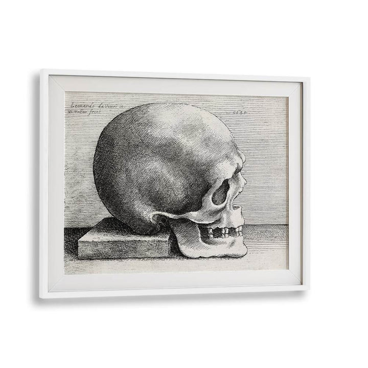 Leonardo Da Vincis Skull In Profile To Right 1645 Vintage Paintings in White Frame With Mount