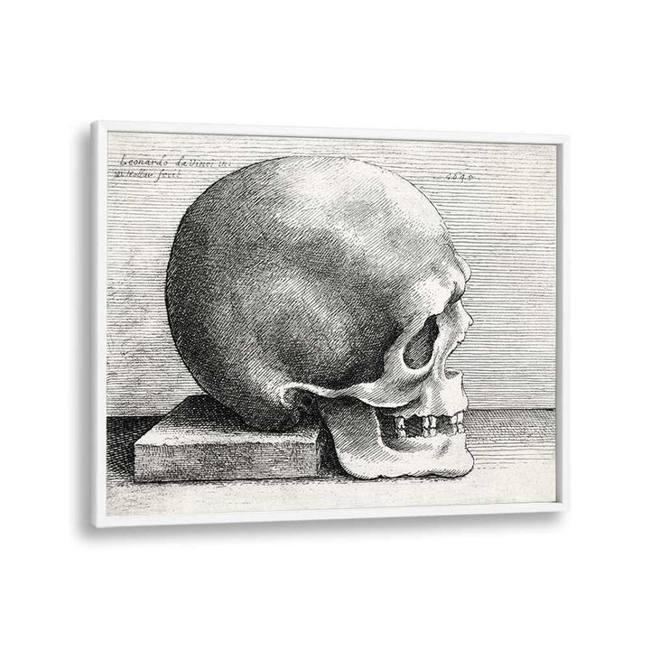 Leonardo Da Vincis Skull In Profile To Right 1645 Vintage Paintings in White Plain Frame