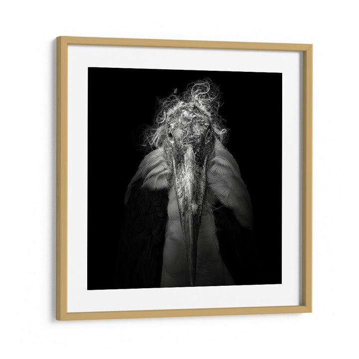 MARABOU WILDLIFE PHOTOGRAPHY in Oak Wood Frame With Mount