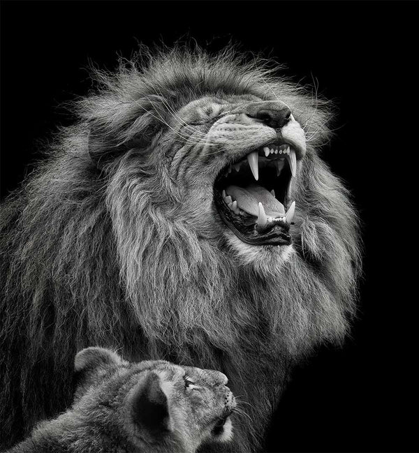 MATHILDE GUILLEMOT - PHOTOGRAPHER