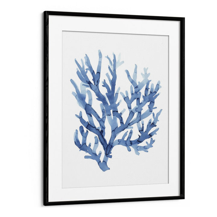 Marine Botanicals I Beach Prints Coastal Wall Art in Black Frame With Mount