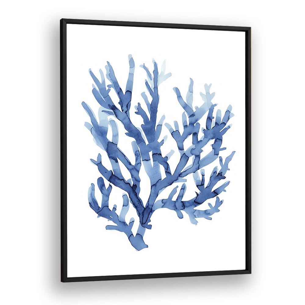 Marine Botanicals I Beach Prints Coastal Wall Art in Black Plain Frame