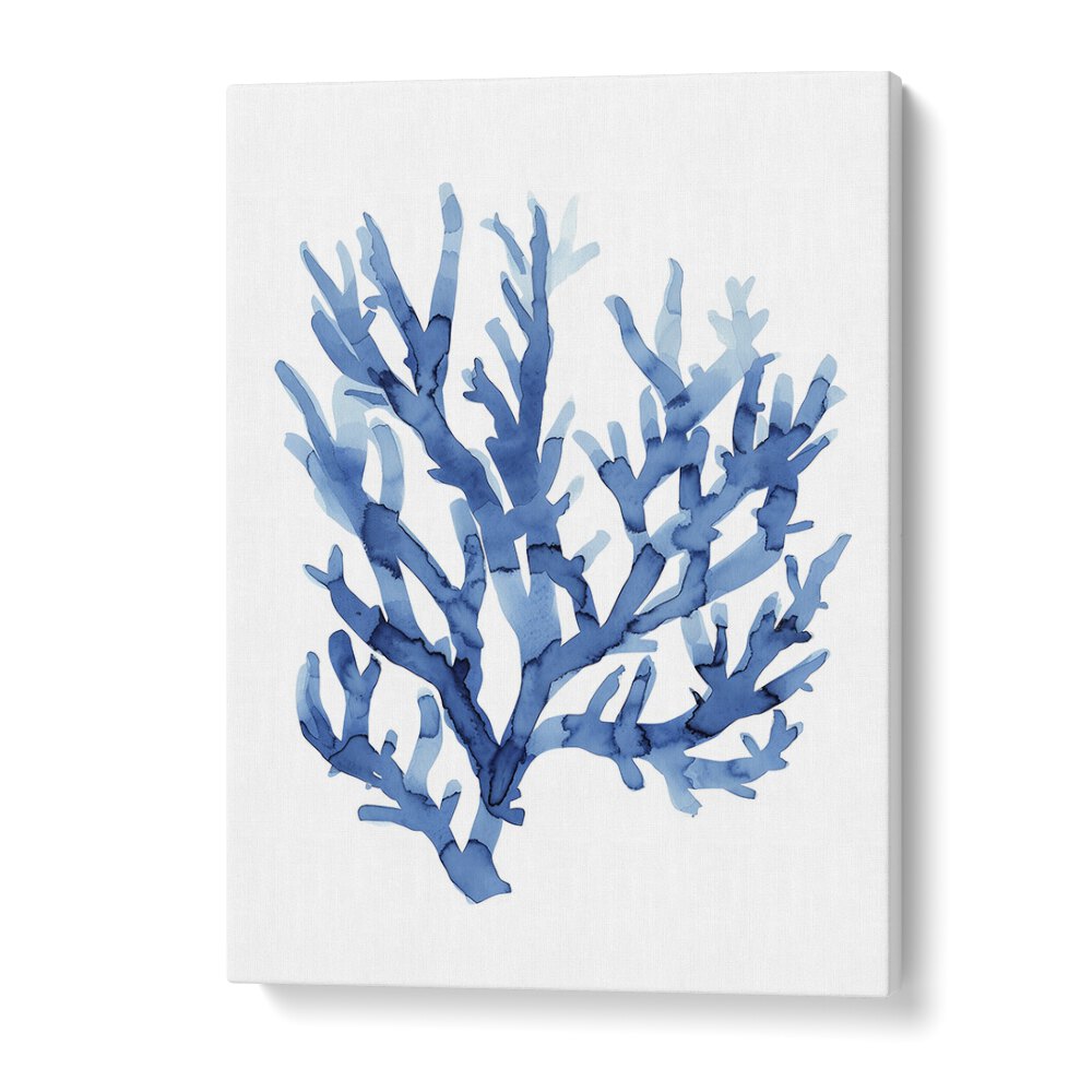 Marine Botanicals I Beach Prints Coastal Wall Art in Gallery Wrap