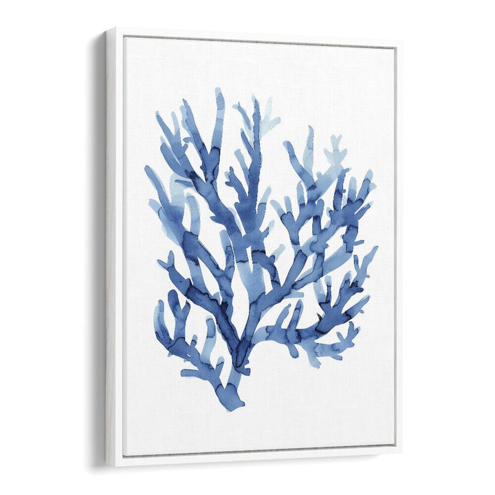 Marine Botanicals I Beach Prints Coastal Wall Art in White Floater Frame