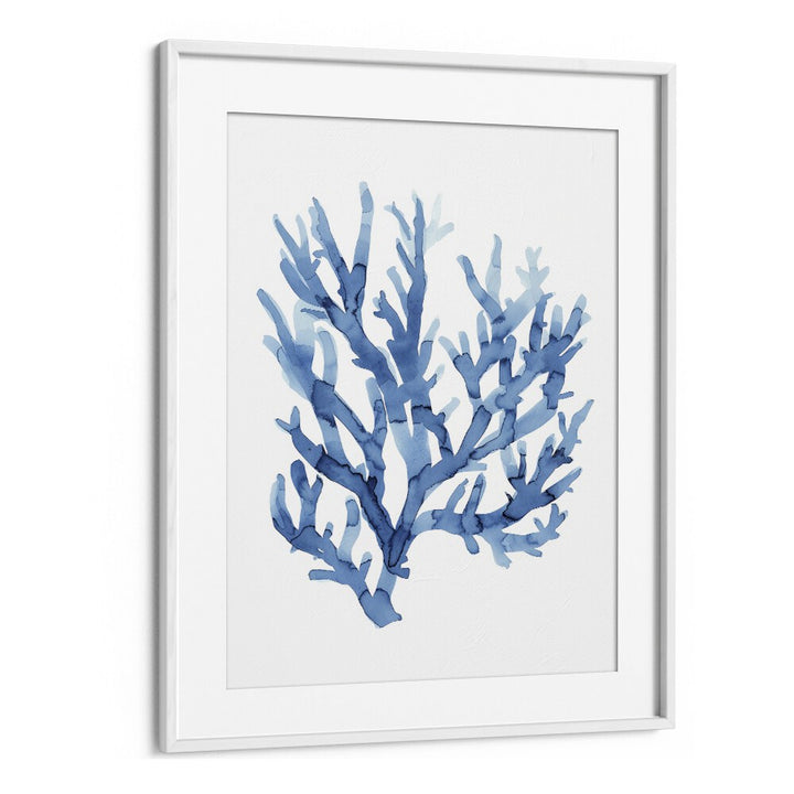 Marine Botanicals I Beach Prints Coastal Wall Art in White Frame With Mount