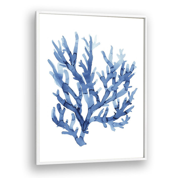 Marine Botanicals I Beach Prints Coastal Wall Art in White Plain Frame