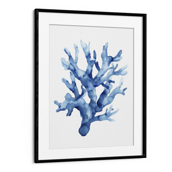 Marine Botanicals II Beach Prints Coastal Wall Art in Black Frame With Mount