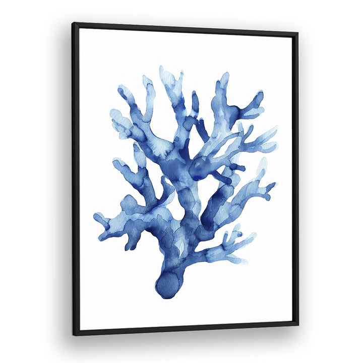 Marine Botanicals II Beach Prints Coastal Wall Art in Black Plain Frame