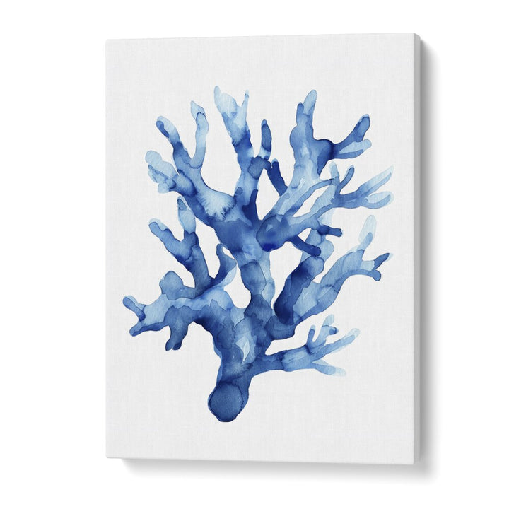 Marine Botanicals II Beach Prints Coastal Wall Art in Gallery Wrap