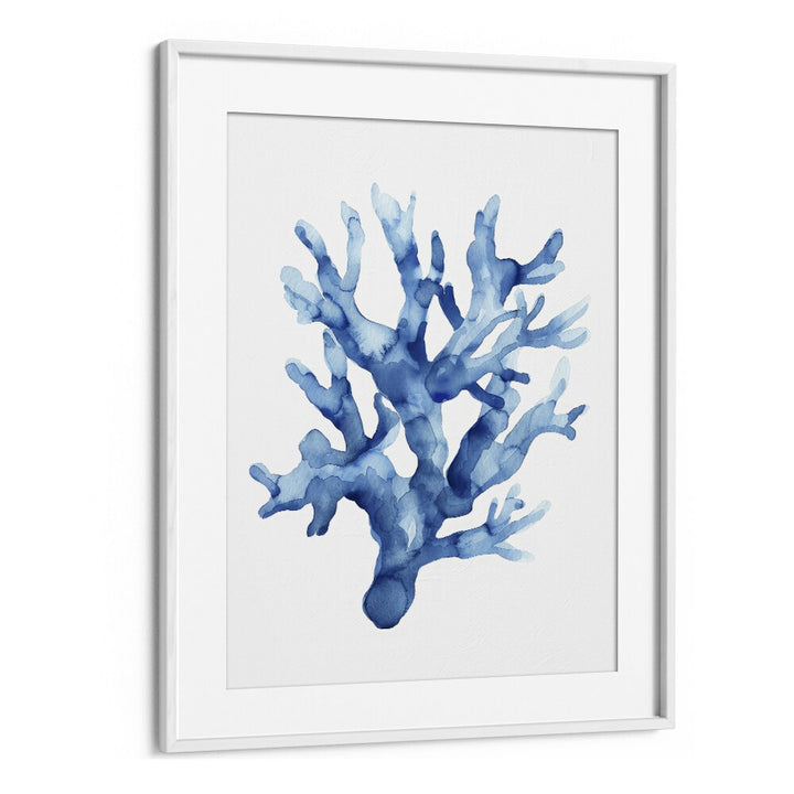 Marine Botanicals II Beach Prints Coastal Wall Art in White Frame With Mount