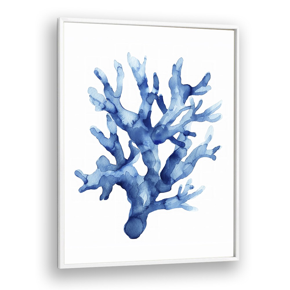 Marine Botanicals II Beach Prints Coastal Wall Art in White Plain Frame