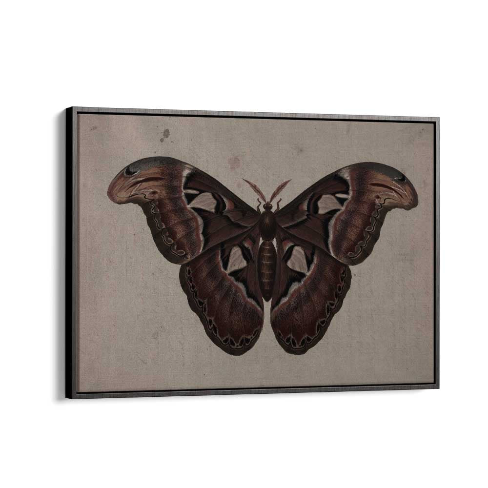 Metamorphosis Embracing The Wings Of Change Gothic Art Prints in Black Floater Frame