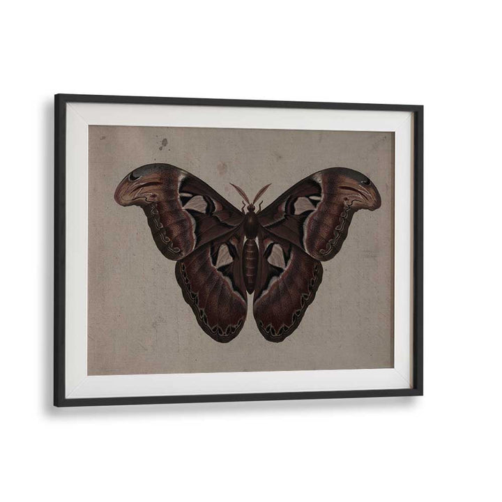 Metamorphosis Embracing The Wings Of Change Gothic Art Prints in Black Frame With Mount