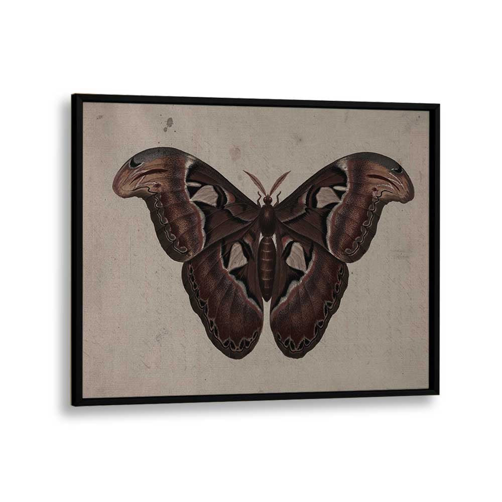 Metamorphosis Embracing The Wings Of Change Gothic Art Prints in Black Plain Frame