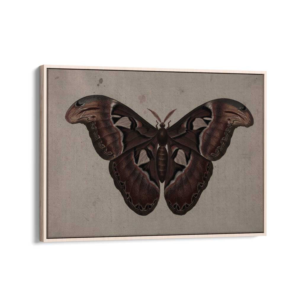 Metamorphosis Embracing The Wings Of Change Gothic Art Prints in Oak Wood Floater Frame