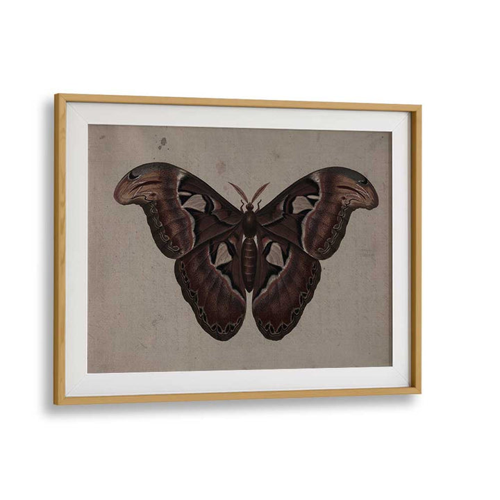 Metamorphosis Embracing The Wings Of Change Gothic Art Prints in Oak Wood Frame With Mount