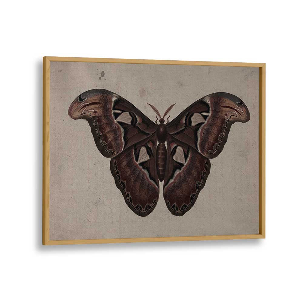 Metamorphosis Embracing The Wings Of Change Gothic Art Prints in Oak Wood Plain Frame