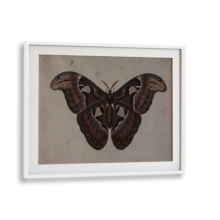 Metamorphosis Embracing The Wings Of Change Gothic Art Prints in White Frame With Mount