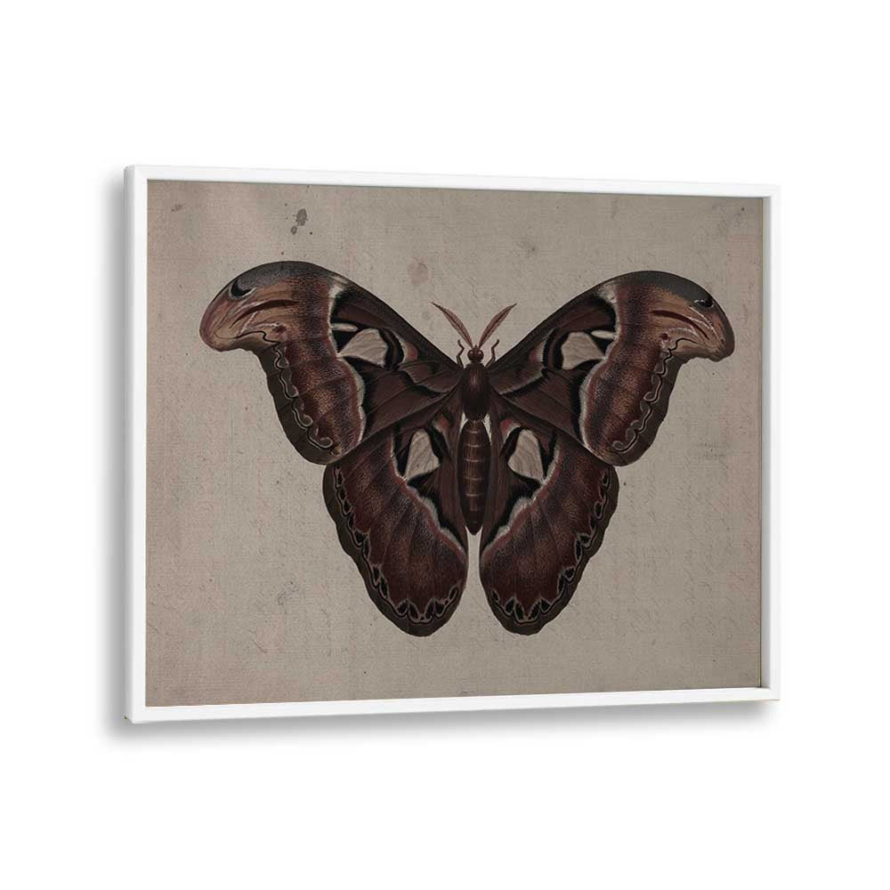 Metamorphosis Embracing The Wings Of Change Gothic Art Prints in White Plain Frame