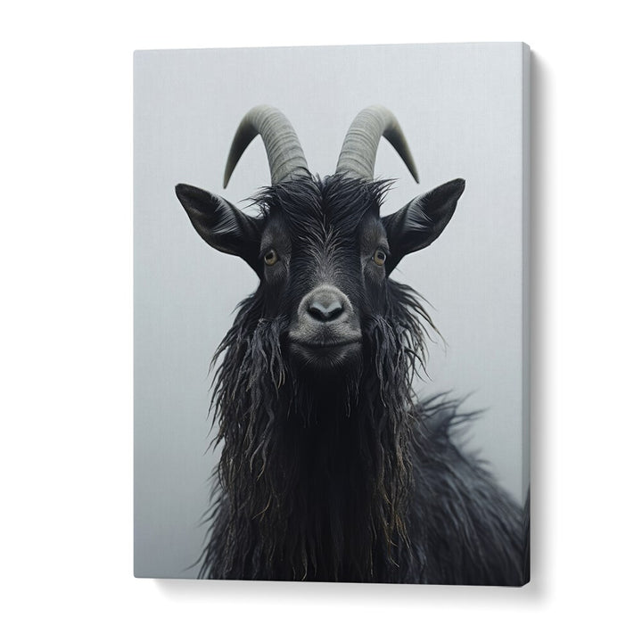 Mountain Goat by Treechild Wildlife Art Prints in Gallery Wrap